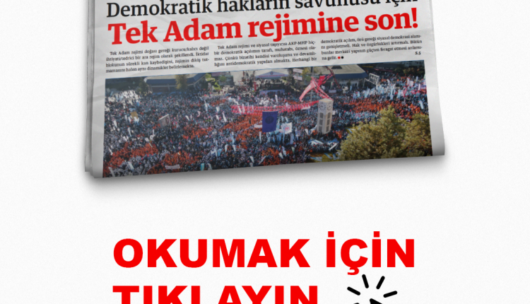 Site (24)