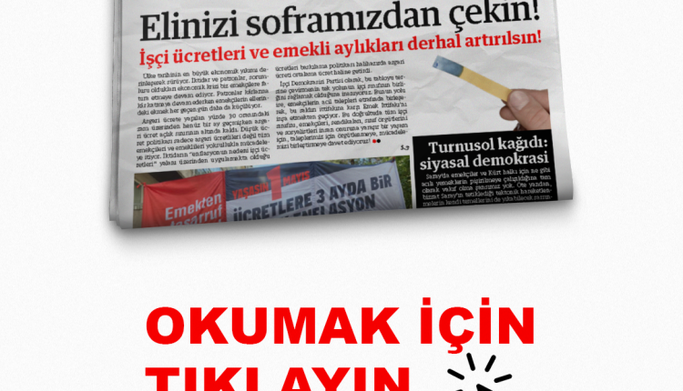 Site (29)
