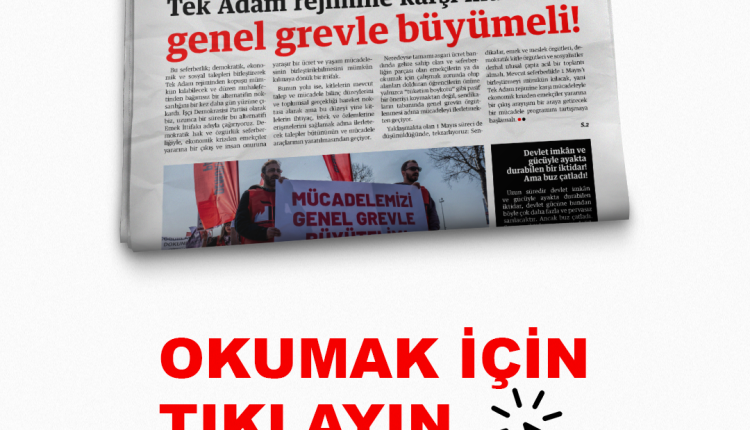 Site (30)
