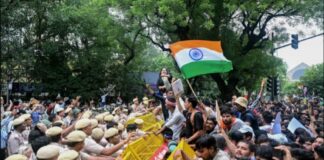 Hindistan: Modi Hükümeti “Hamamböceği” hareketine saldırıyor