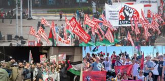 İUB-DE’nin 9. Dünya Kongresi’ne doğru